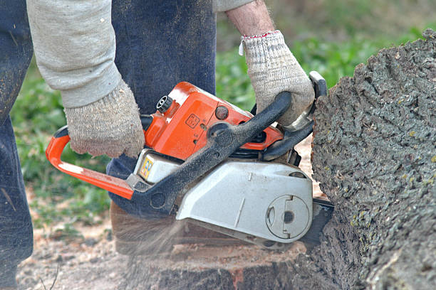  , RI Tree Care Pros